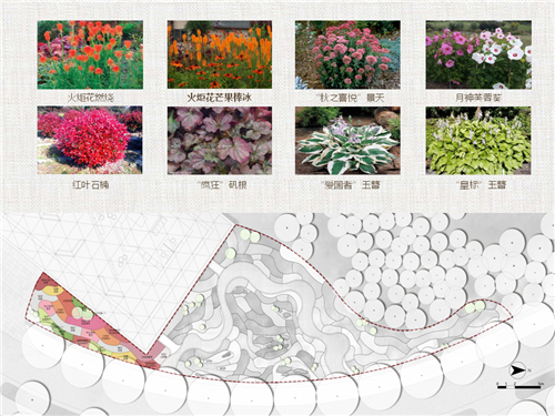 河北省第二屆(秦皇島)園博會(huì)花境創(chuàng)意作品——山海側(cè) 花間頤心