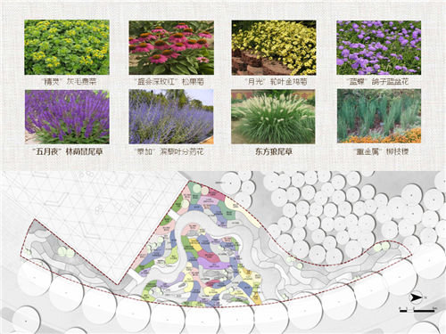 河北省第二屆(秦皇島)園博會(huì)花境創(chuàng)意作品——山海側(cè) 花間頤心