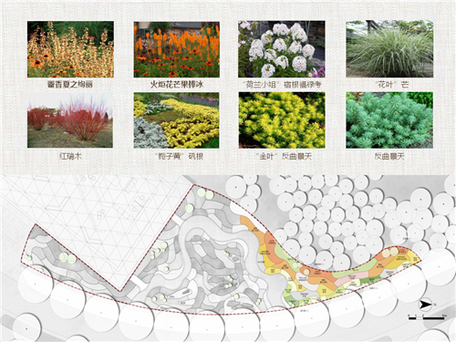 河北省第二屆(秦皇島)園博會(huì)花境創(chuàng)意作品——山海側(cè) 花間頤心