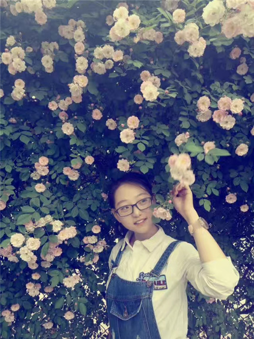 河北省第二屆(秦皇島)園博會花境創意作品——山·城·沙·海