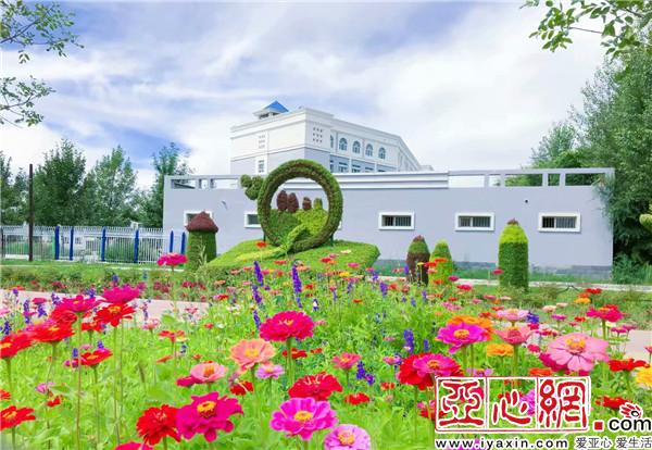 新疆:千里綠廊 百花爭艷別樣美