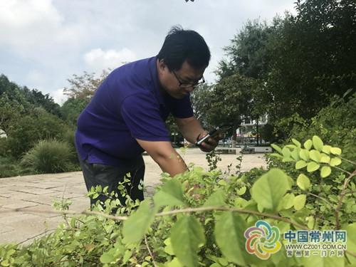 江蘇常州：建設“智慧園林”首用“黑科技”