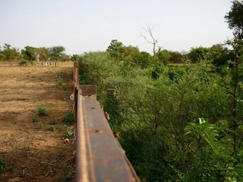 繁榮的森林景觀：實現可持續未來的關鍵