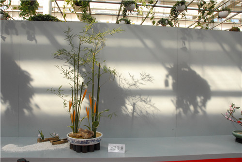 中國(guó)插花泰斗王蓮英獻(xiàn)藝河北省第二屆園博會(huì)