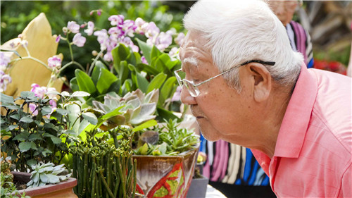 中國(guó)插花泰斗王蓮英獻(xiàn)藝河北省第二屆園博會(huì)