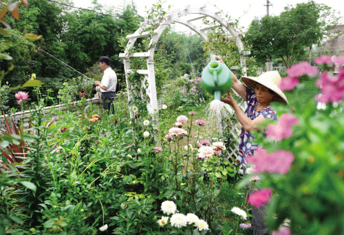 浙江嘉興:閑庭信步棲詩意