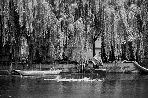 景觀水治理技術修復小微水體