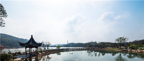 園冶杯專業獎:岳陽南湖龍山景區園林綠化景觀EPC項目