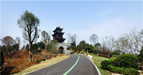 園冶杯專業獎:岳陽南湖龍山景區園林綠化景觀EPC項目