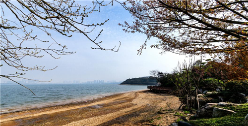 園冶杯專業獎:岳陽南湖龍山景區園林綠化景觀EPC項目