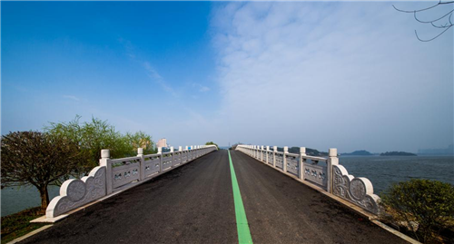 園冶杯專業獎:岳陽南湖龍山景區園林綠化景觀EPC項目