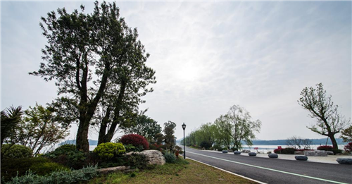 園冶杯專業獎:岳陽南湖龍山景區園林綠化景觀EPC項目