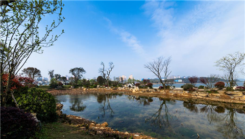 園冶杯專業獎:岳陽南湖龍山景區園林綠化景觀EPC項目