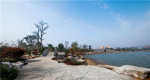 園冶杯專業獎:岳陽南湖龍山景區園林綠化景觀EPC項目