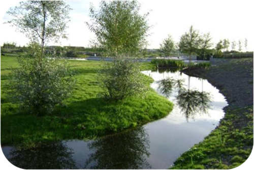 園冶杯專業獎:岳陽南湖龍山景區園林綠化景觀EPC項目