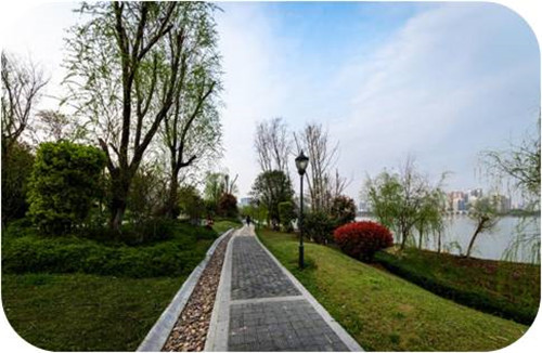 園冶杯專業獎:岳陽南湖龍山景區園林綠化景觀EPC項目