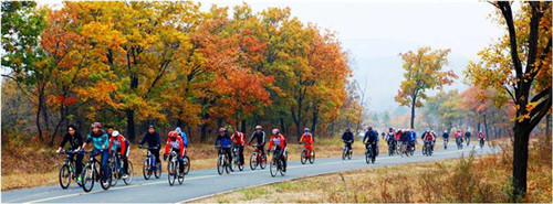 園冶杯專業獎:岳陽南湖龍山景區園林綠化景觀EPC項目