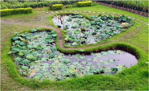 園冶杯專業獎:岳陽南湖龍山景區園林綠化景觀EPC項目