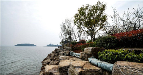 園冶杯專業獎:岳陽南湖龍山景區園林綠化景觀EPC項目