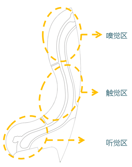 河北省第二屆園博會花境創意作品——尋光者