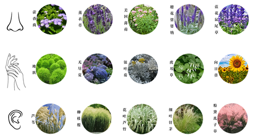 河北省第二屆園博會花境創意作品——尋光者