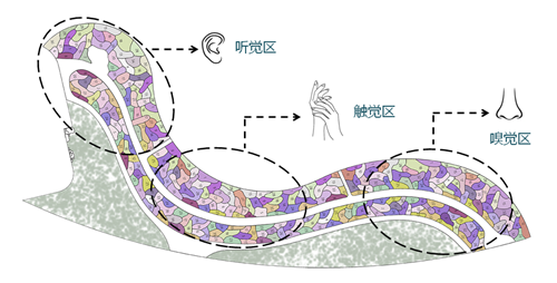 河北省第二屆園博會花境創意作品——尋光者