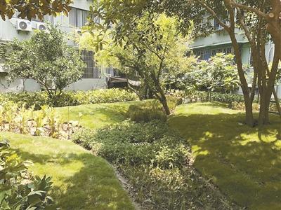 杭州：老小區(qū)老建筑如何享受海綿城市福利