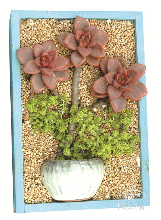 趣味盎然的二維畫意小品