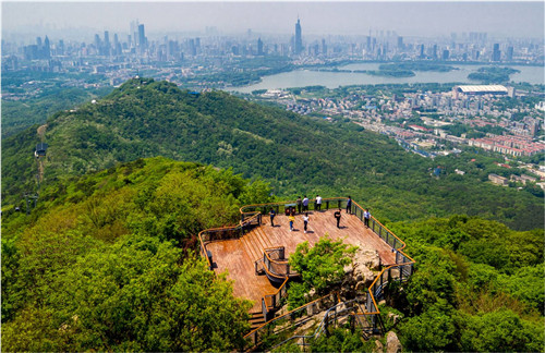 園冶杯專業獎：中山陵園風景區頭陀嶺區域環境整治工程