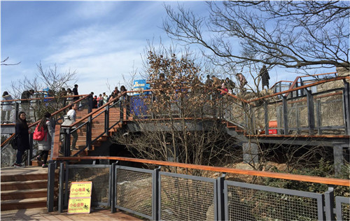 園冶杯專業獎：中山陵園風景區頭陀嶺區域環境整治工程