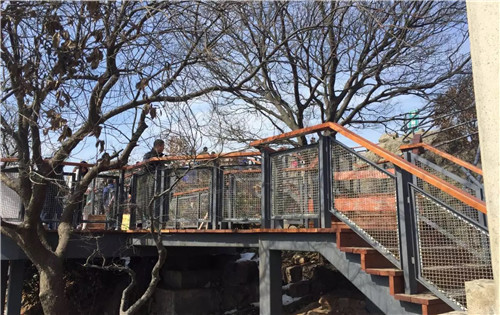 園冶杯專業獎：中山陵園風景區頭陀嶺區域環境整治工程