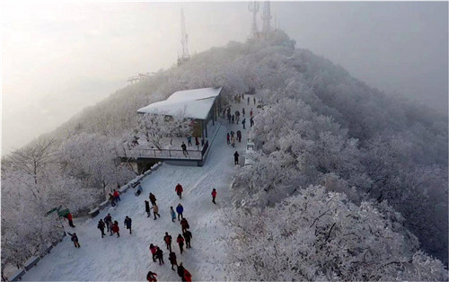 園冶杯專業獎：中山陵園風景區頭陀嶺區域環境整治工程