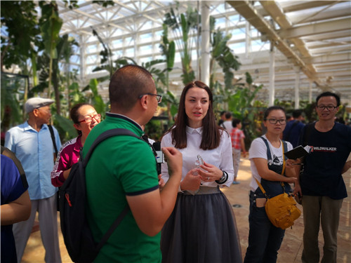 國內外花藝大師同臺獻藝 秦皇島舉辦國際插花藝術展