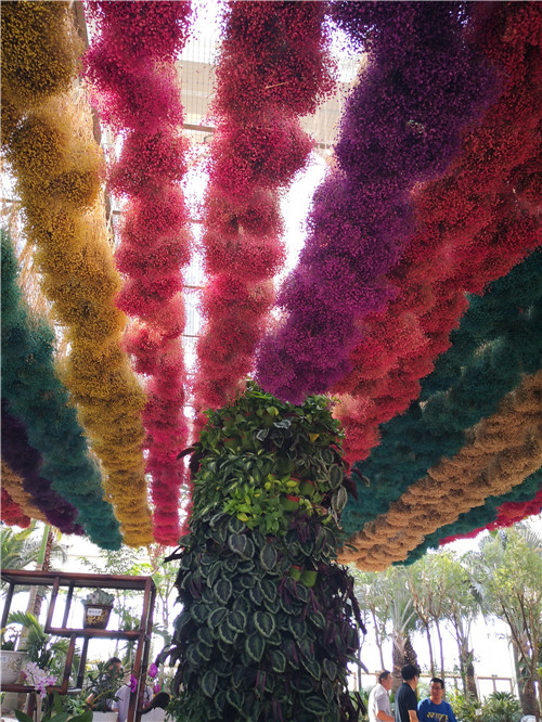 國內外花藝大師同臺獻藝 秦皇島舉辦國際插花藝術展