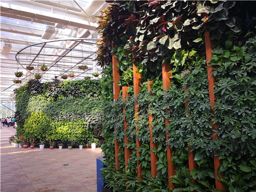 國內外花藝大師同臺獻藝 秦皇島舉辦國際插花藝術展