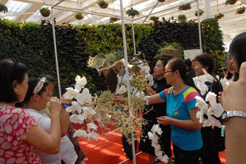 國內外花藝大師同臺獻藝 秦皇島舉辦國際插花藝術展
