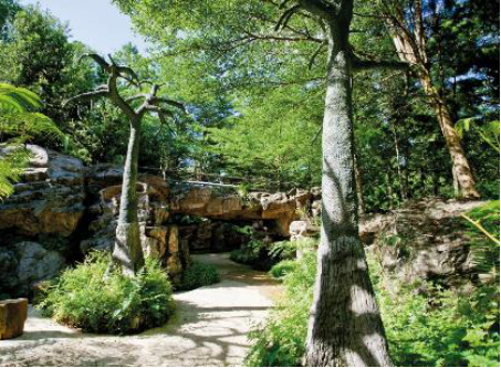 鄧國輝:分層思維——想象、關聯、整合