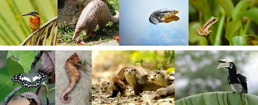 鄧國輝:分層思維——想象、關聯、整合