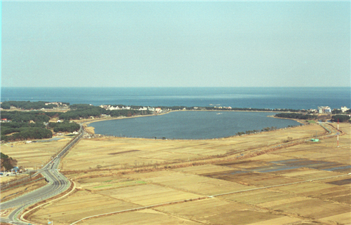趙泰東：韓國江陵市鏡浦濕地修復計劃和現狀