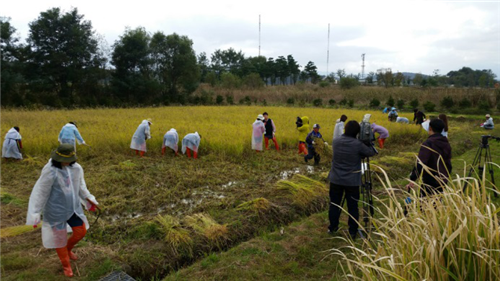 趙泰東：韓國江陵市鏡浦濕地修復計劃和現狀