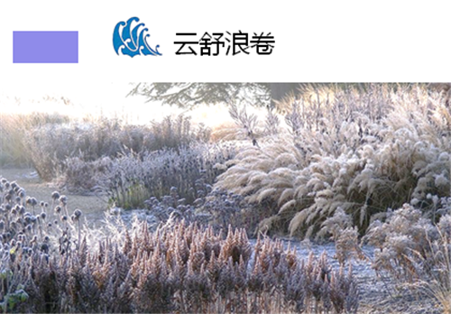 河北省第二屆園博會花境創意作品——花漫“水圖”卷