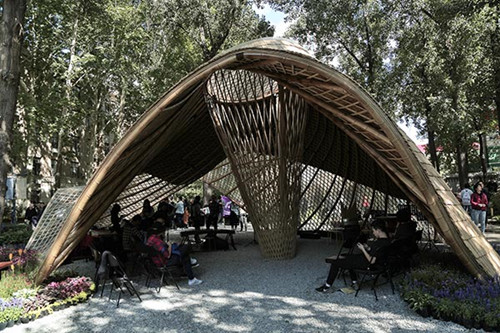 北京林業大學舉辦首屆國際花園建造節