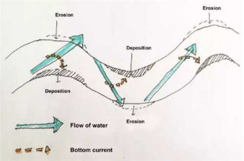 沈守云:濕地資源的自然稟賦
