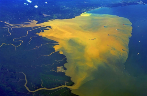 沈守云:濕地資源的自然稟賦