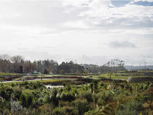 Brad Coombs:庫布帕卡保護區濕地公園