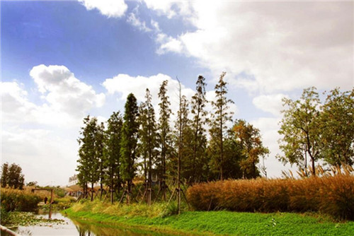 園冶杯專業獎:楊柳灣濱河公園景觀設計
