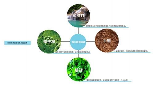 園冶杯專業獎:楊柳灣濱河公園景觀設計