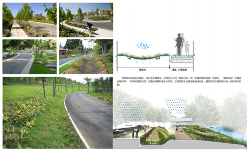 園冶杯專業獎:楊柳灣濱河公園景觀設計