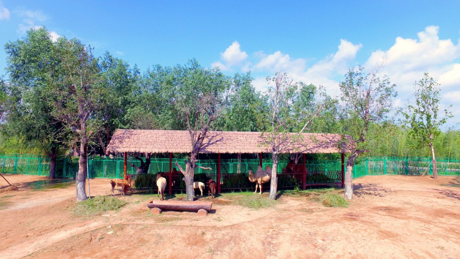 園冶杯專業(yè)獎:臨沂動植物園散養(yǎng)區(qū)景觀設(shè)計