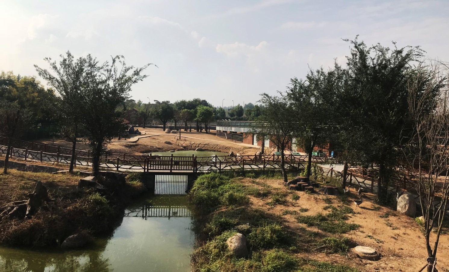 園冶杯專業(yè)獎:臨沂動植物園散養(yǎng)區(qū)景觀設(shè)計